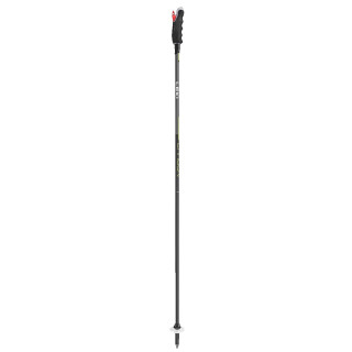 Bâtons ski Leki Carbon 12 3D noir / gris black-dark anthracite-neonyellow