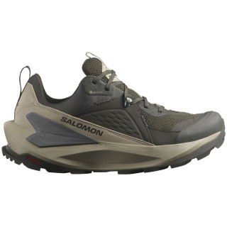 Chaussures homme Salomon Elixir Gore-Tex