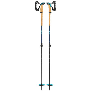 Bâtons de ski alpin Leki Bernina Lite 2 vert / bleu denimblue-midnight blue-mint