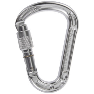 Mousqueton Climbing Technology Concept SG silver