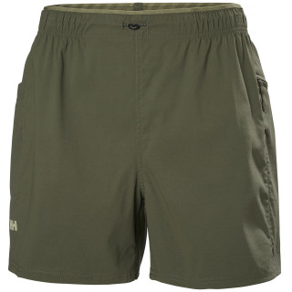 Short femme Helly Hansen W Vista Hike Shorts green UTILITY GREEN