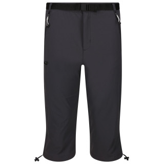 Pantalon 3/4 homme Regatta Xert Str CapriIII girs Seal Grey