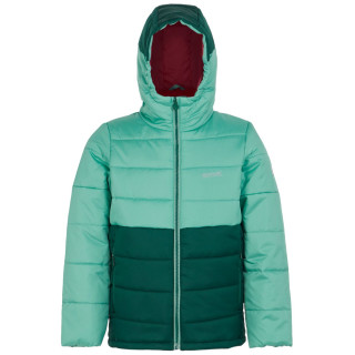 Veste enfant Regatta Lofthouse VIII green DstyGn/RnFst