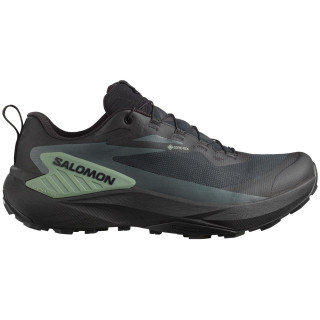 Chaussures homme Salomon Genesis Gore-Tex noir/vert Black / Agave Green / Urban Chic