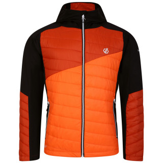 Veste homme Dare 2b Touring Hybrid orange Puffins Orange/Rooibos Tea