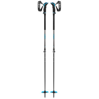 Bâtons de ski alpin Leki Guide Lite 2 vert / bleu silvergray-petrol-black