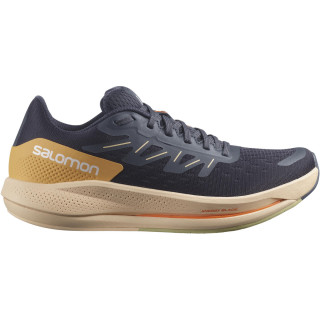 Chaussures de running femme Salomon Spectur W noir / brun ebony