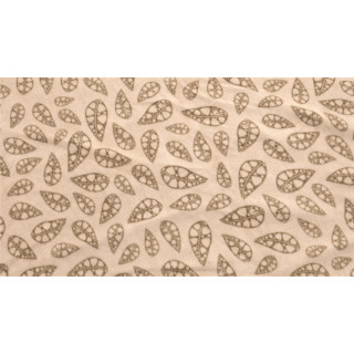 Tapis Robens Fleece Carpet Chinook Ursa beige