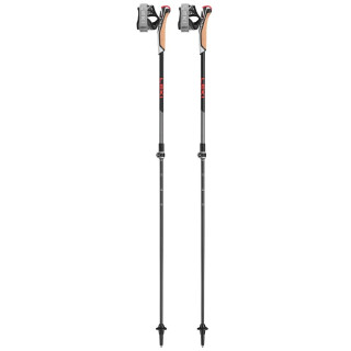 Bâtons de marche nordique Leki Poles Instructor Lite noir / rouge dark anthracite-silvergray-bright red