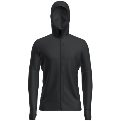 Sweatshirt fonctionnel homme Icebreaker M Mer 260 Quantum IV LS Zip Hoodie vert Black