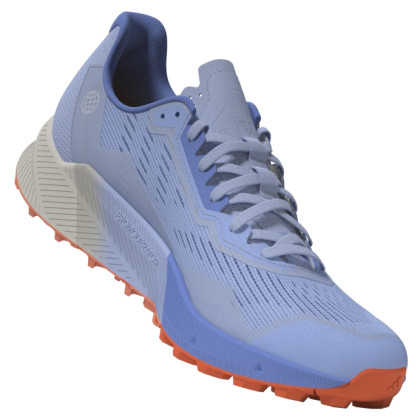 Chaussures femme Adidas Terrex Agravic Flow 2 GTX W bleu clair Bludaw/Blufus/Corfus