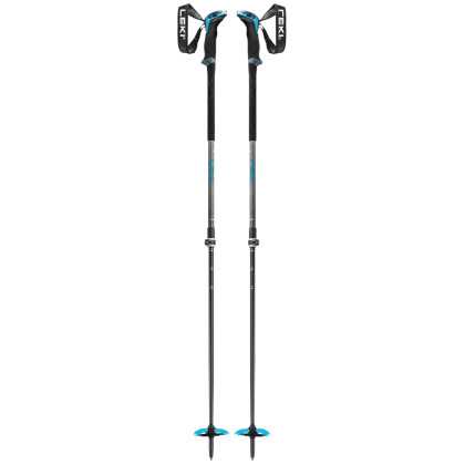 Bâtons de ski alpin Leki Guide Lite 2 vert / bleu silvergray-petrol-black