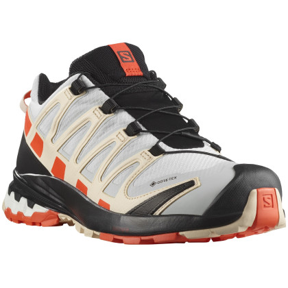 Chaussures femme Salomon Xa Pro 3D V8 GTX W vert / beige Lunar Rock / Cherry Tomato / Sun Kiss