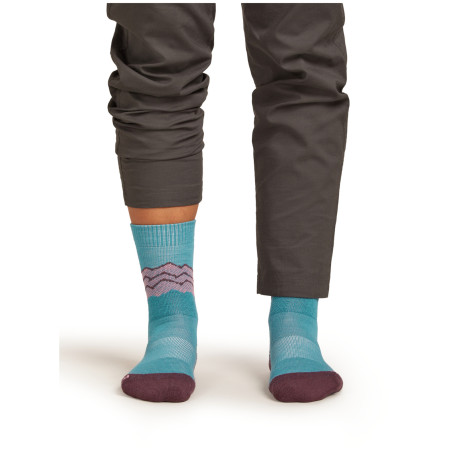 Chaussettes femme Icebreaker Women Merino Hike+ Medium Crew Across the Peaks