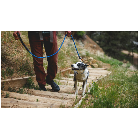 Laisse pour chien Ruffwear Knot-a-Leash™