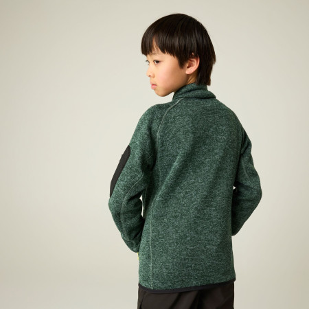 Sweatshirt enfant Regatta Junior Newhill DrkForGlacGr