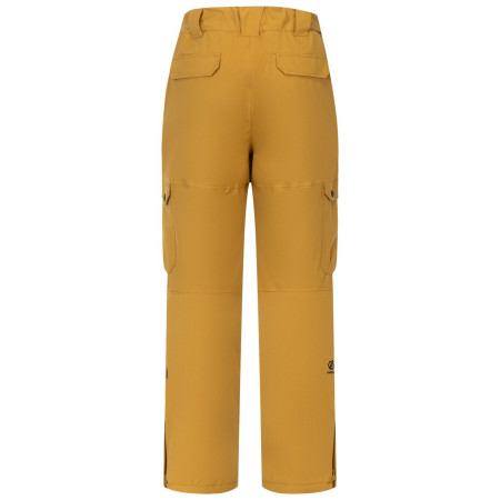 Pantalon homme Dare 2b Baseplate Insulated Pant