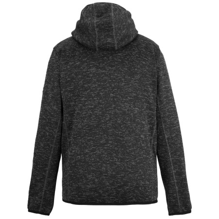 Sweatshirt fonctionnel homme Regatta Hooded Newhill