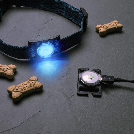 Lumière pour chien Nite Ize NiteDog™ Rechargeable Pet Light