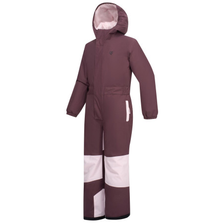 Combinaison enfant Dare 2b Rodeo Snowsuit Hucklbr/PkHz