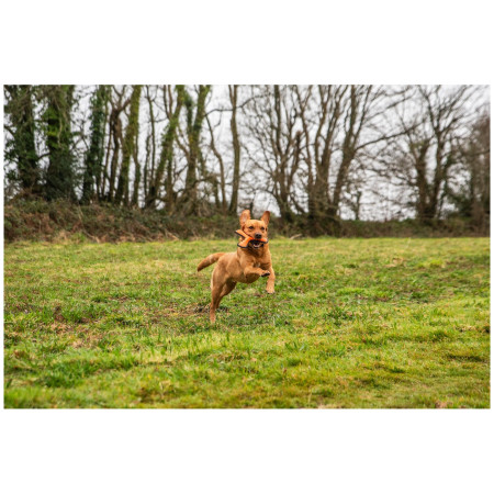 Jouet pour chien Mountain Paws Rubber Throw Dog Toy