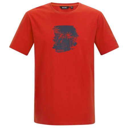 T-shirt homme Regatta Cline IX rouge PoppyBchGlid