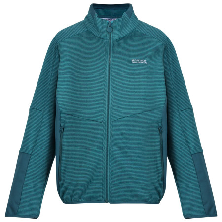 Sweatshirt enfant Regatta Highton WtrFZ III bleu clair Pagoda/Drgnf