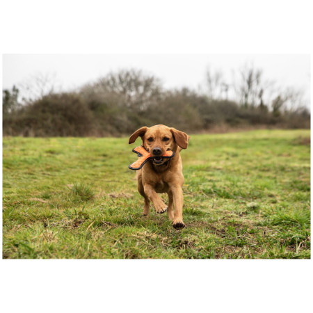 Jouet pour chien Mountain Paws Rubber Throw Dog Toy