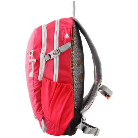 Sac à dos Axon Rose