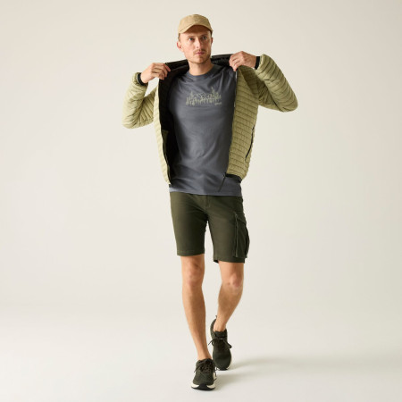 Shorts homme Regatta Bendrick Shorts