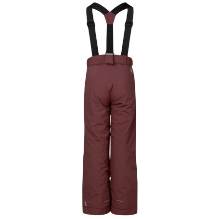 Pantalon d'hiver enfant Dare 2b Outmove III Insulated Pant Huckleberry