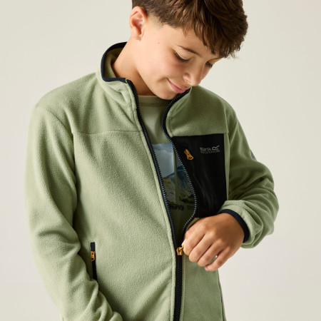 Sweatshirt enfant Regatta Junior Frankie F/Z Light Sage