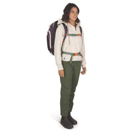 Sac à dos de voyage Osprey Transporter Travel Pack 36