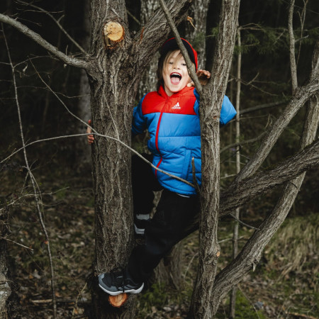 Chaussures enfant Adidas Terrex Ax4R K