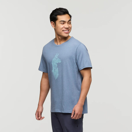 T-shirt homme Cotopaxi Into the Pines T-Shirt