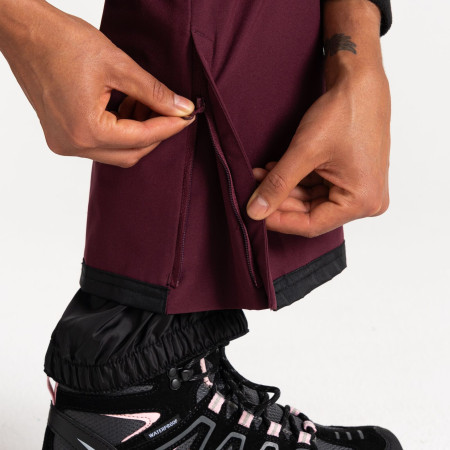 Pantalon de ski femme Dare 2b Diminish Pant