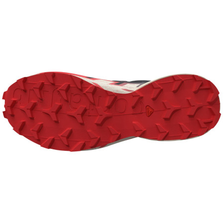 Chaussures de running hommes Salomon Speedcross 6