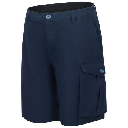 Shorts homme Regatta Bendrick Shorts