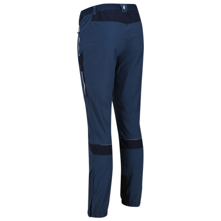 Pantalon homme Regatta Mountain Trs III regular