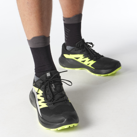 Chaussures de running hommes Salomon Alphaglide Gore-Tex