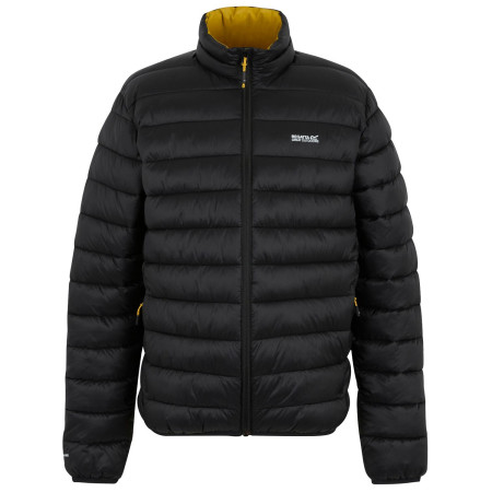 Veste homme Regatta Marizion