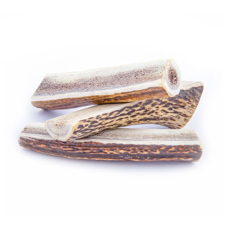Jouet pour chien Explorer Dog Antler Chew easy