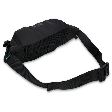 Sac banane Regatta Blackfell IV 5L Hip Pack