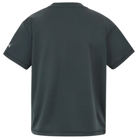 T-shirt enfant Regatta Alvarado Seal Grey