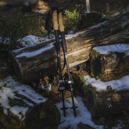 Comment bien choisir ses bâtons de trekking ?