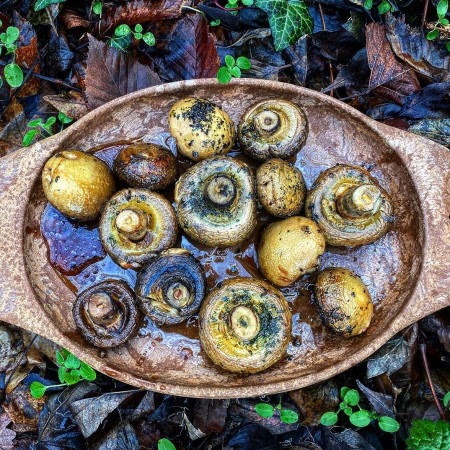 Comment cuisiner en plein air