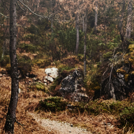 Qu'est-ce que le bivouac ?