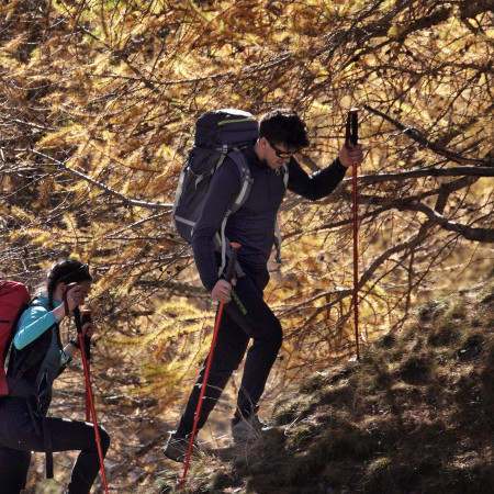 Qu'est-ce que le hiking ?