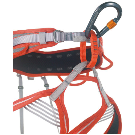 Mousqueton Camp Core Belay Lock