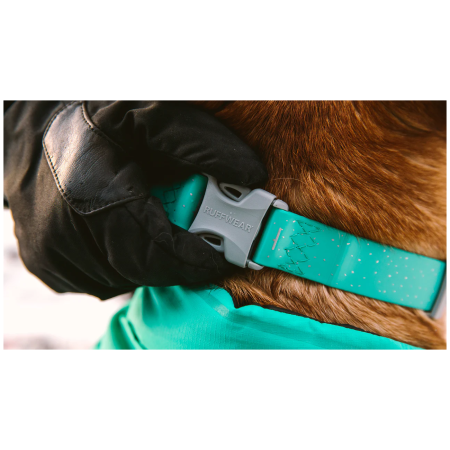 Collier pour chien Ruffwear Confluence™ Collar